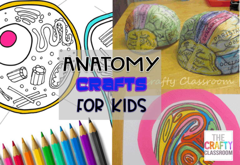 Engaging Kids with Hands-On Human Anatomy Activities Engaging Kids with Hands-On Human Anatomy Activities